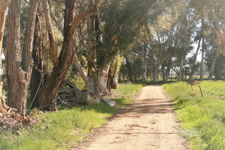 Seventh view of Homely rural property listing, 00 Minard Lane, Bamawm VIC 3561