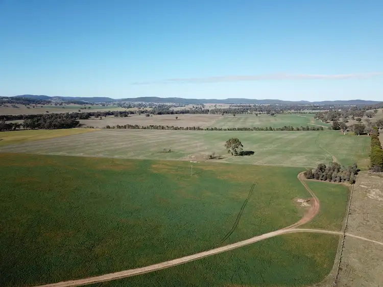 Second view of Homely rural property listing, 6702 Renshaw McGirr Way, Baldry NSW 2867