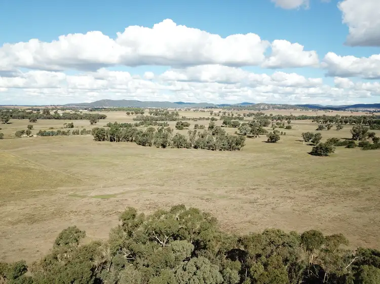Fourth view of Homely rural property listing, 6702 Renshaw McGirr Way, Baldry NSW 2867