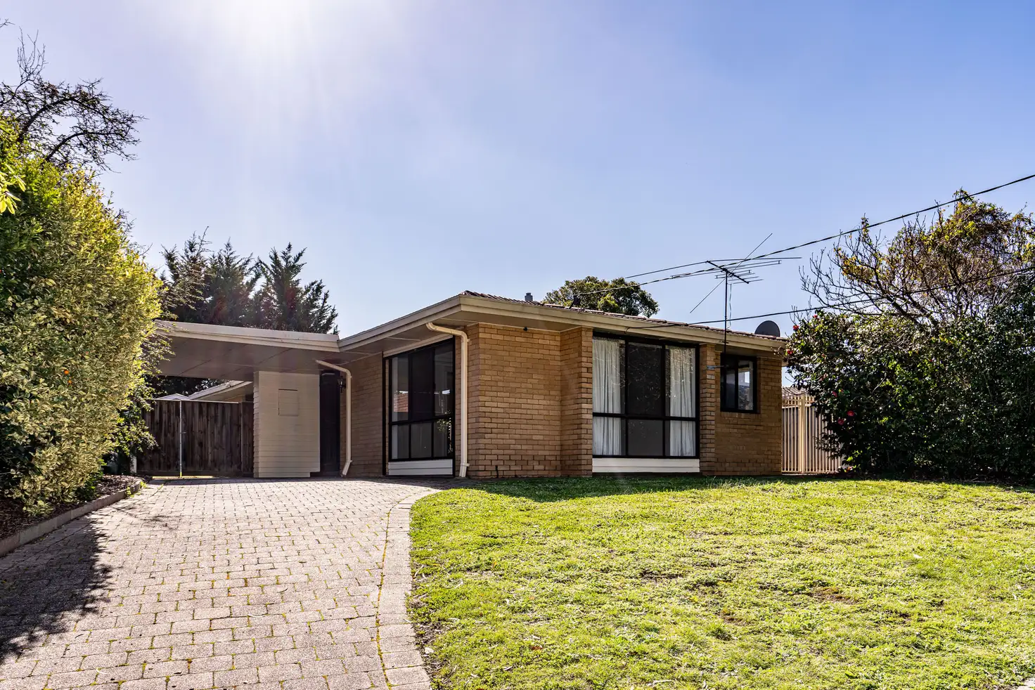 Main view of Homely house listing, 197 Ferntree Gully Road, Mount Waverley VIC 3149