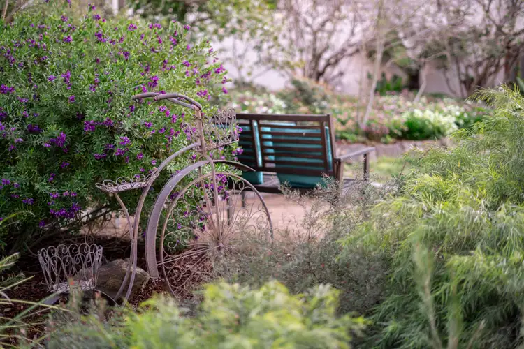 Sixth view of Homely house listing, 12 Booth Crescent, Cook ACT 2614