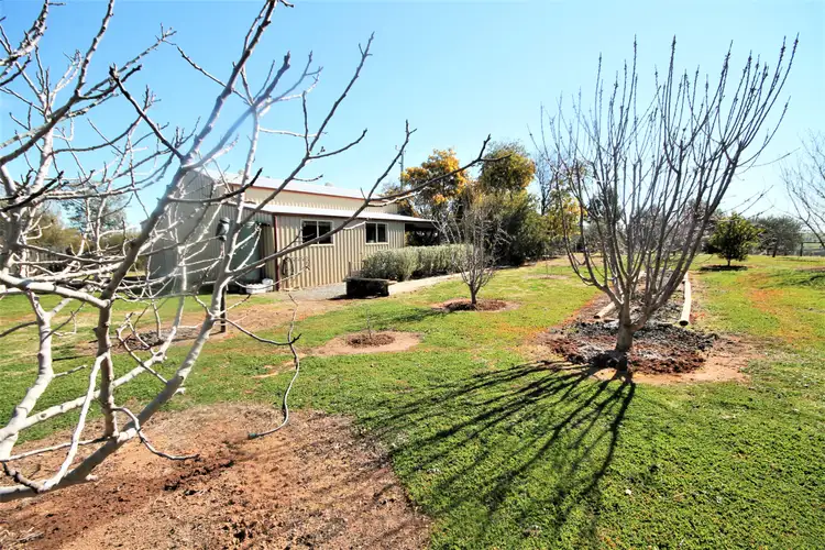 276 Pattersons Lane, Young NSW 2594