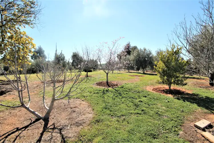 Seventh view of Homely land listing, 276 Pattersons Lane, Young NSW 2594