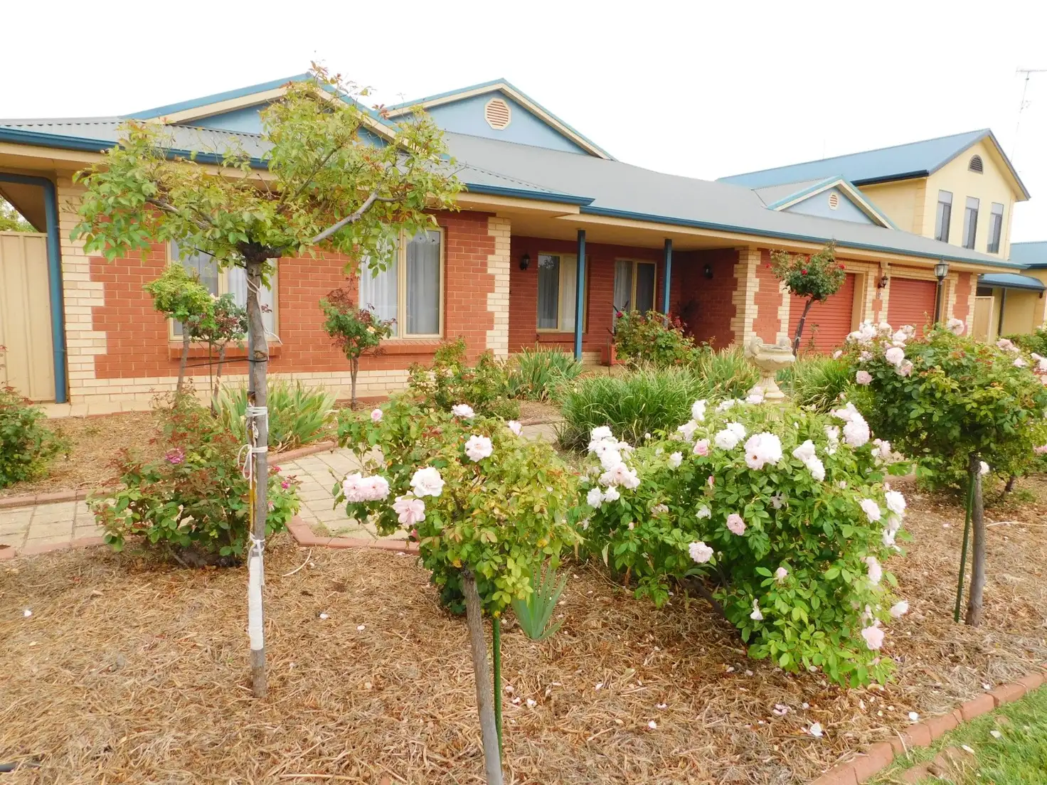 Main view of Homely house listing, 19 Haynes Street, Bordertown SA 5268