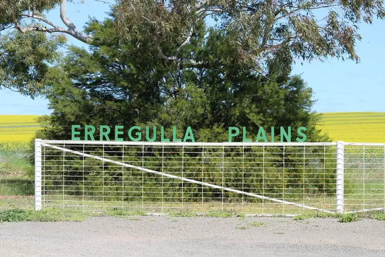 Erregulla Plains, Midlands Road, Mingenew WA 6522