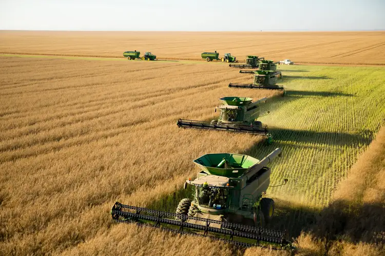 Fourth view of Homely rural property listing, Erregulla Plains, Midlands Road, Mingenew WA 6522