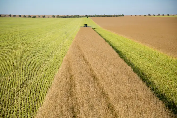 Fifth view of Homely rural property listing, Erregulla Plains, Midlands Road, Mingenew WA 6522