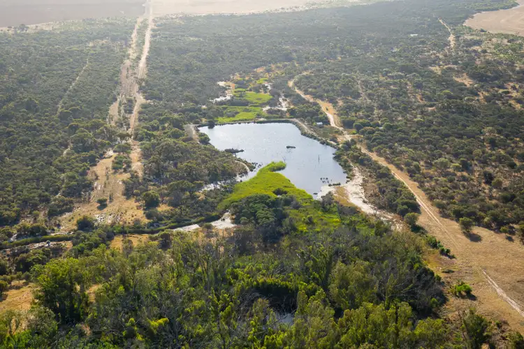 Seventh view of Homely rural property listing, Erregulla Plains, Midlands Road, Mingenew WA 6522