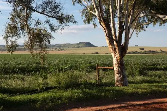 Fifth view of Homely land listing, 415 Horwood Road, Deepdale WA 6532