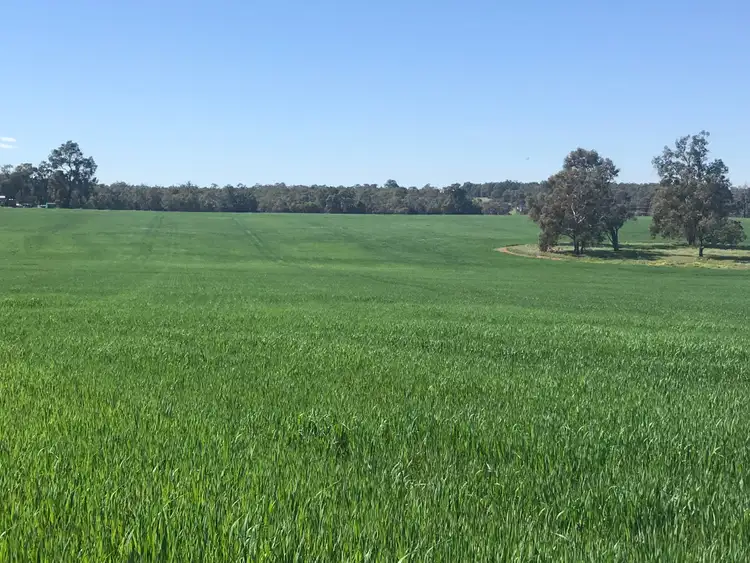 Fourth view of Homely rural property listing, 550 Inkpen Road, Copley WA 6562