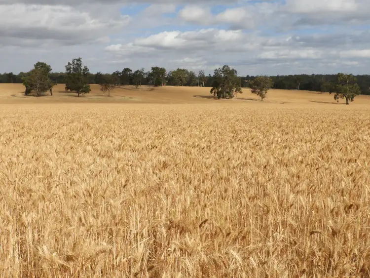 Fifth view of Homely rural property listing, 550 Inkpen Road, Copley WA 6562