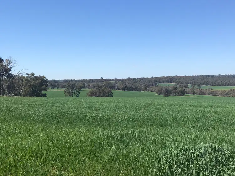 Sixth view of Homely rural property listing, 550 Inkpen Road, Copley WA 6562