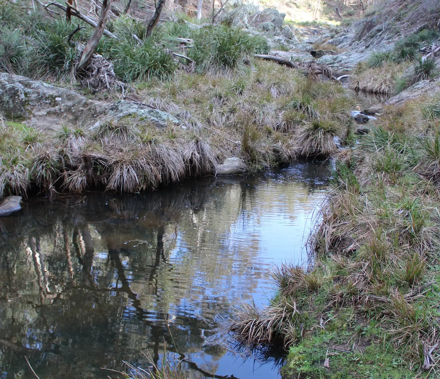 Main view of Homely rural property listing, Address available on request