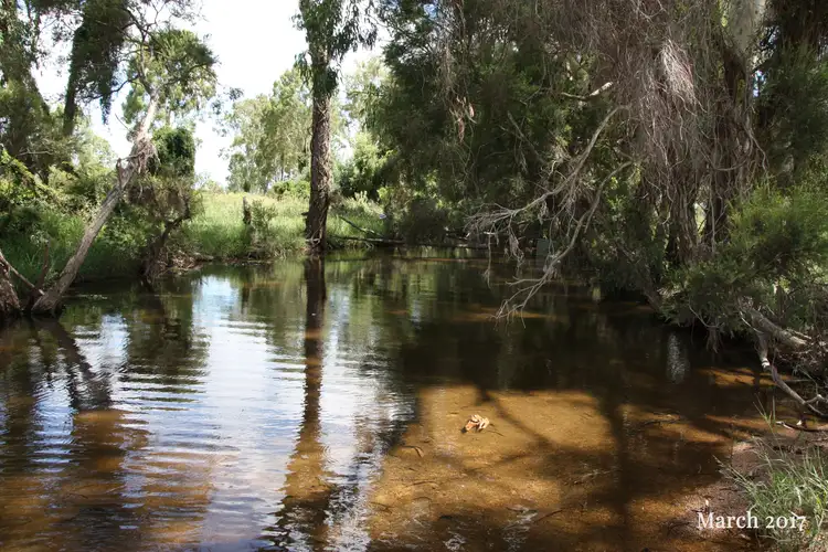 Sixth view of Homely rural property listing, 1421 Crowsdale Camboon Road, Prospect QLD 4715