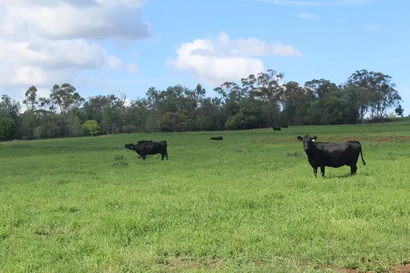 Main view of Homely rural property listing, " Gunna Gumpy", Bingara NSW 2404