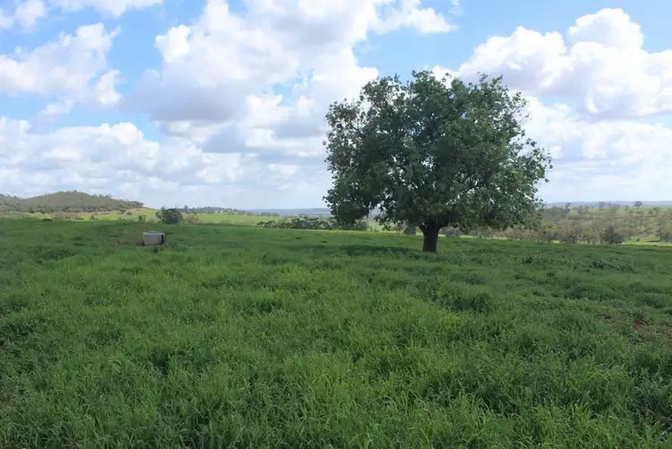Fourth view of Homely rural property listing, " Gunna Gumpy", Bingara NSW 2404