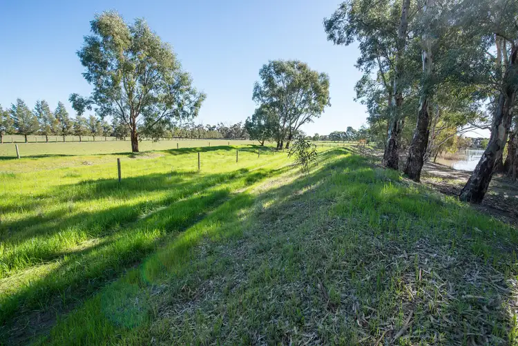 Fourth view of Homely rural property listing, 156 Maher Road, Swan Hill VIC 3585