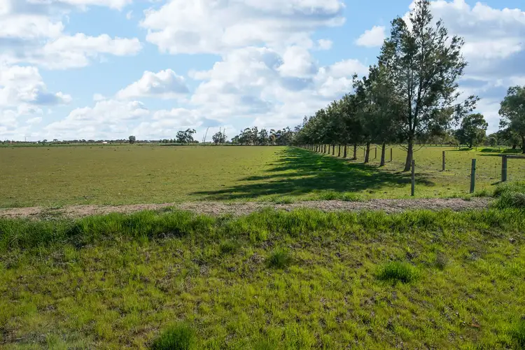 Fifth view of Homely rural property listing, 156 Maher Road, Swan Hill VIC 3585