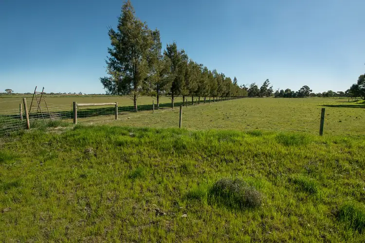 Sixth view of Homely rural property listing, 156 Maher Road, Swan Hill VIC 3585