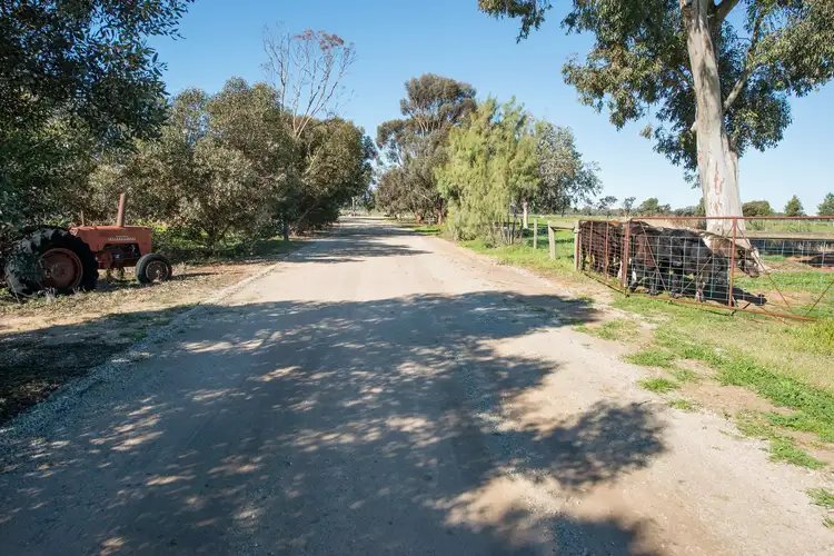 Seventh view of Homely rural property listing, 156 Maher Road, Swan Hill VIC 3585