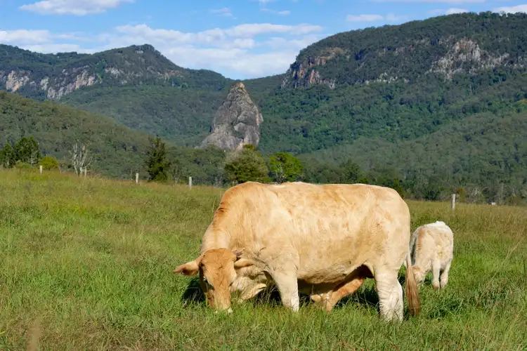 Lot 2, 2325 Nerang Murwillumbah Road, Numinbah Valley QLD 4211