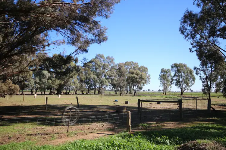 Fifth view of Homely rural property listing, 1296 Everard Road, Timmering VIC 3561
