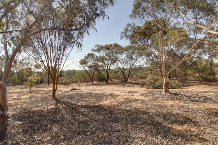 891 Hunt Road, Loveday SA 5345