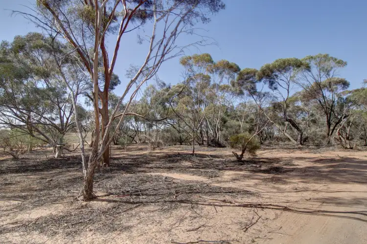 Sixth view of Homely land listing, 891 Hunt Road, Loveday SA 5345