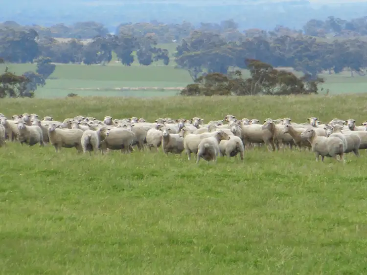 Main view of Homely rural property listing, Sukey Hill, 98 Barytes Road, Cranbrook WA 6321
