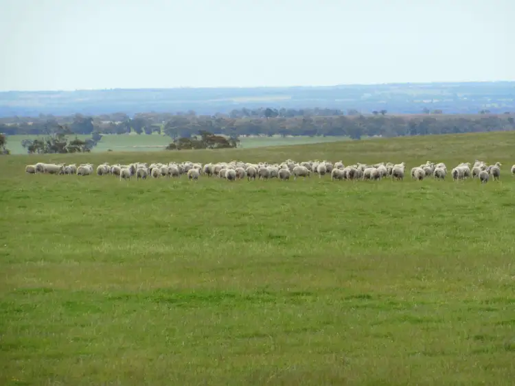 Second view of Homely rural property listing, Sukey Hill, 98 Barytes Road, Cranbrook WA 6321