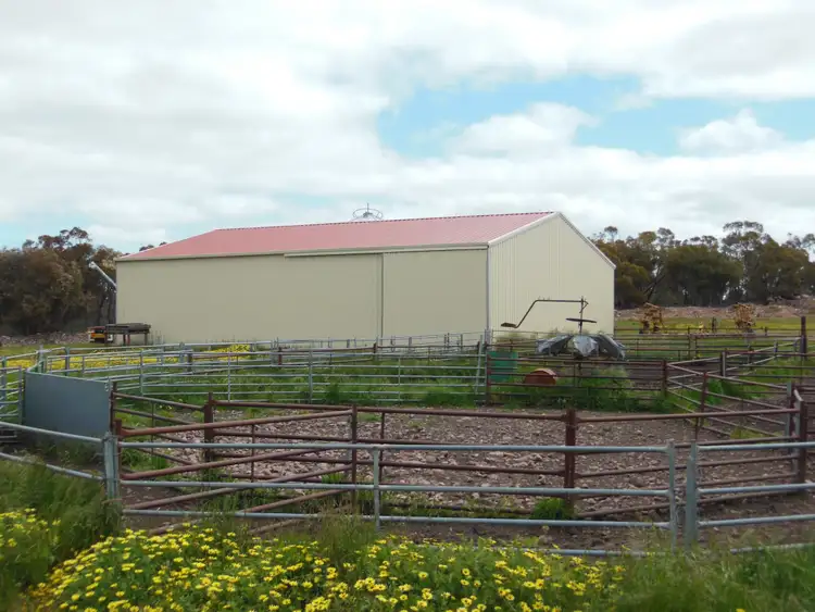 Sixth view of Homely rural property listing, Sukey Hill, 98 Barytes Road, Cranbrook WA 6321