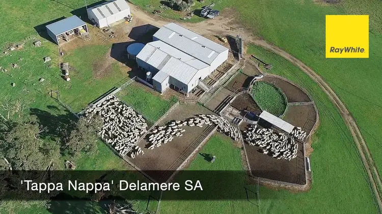 Main view of Homely rural property listing, 252 Three Bridges Road, Delamere SA 5204