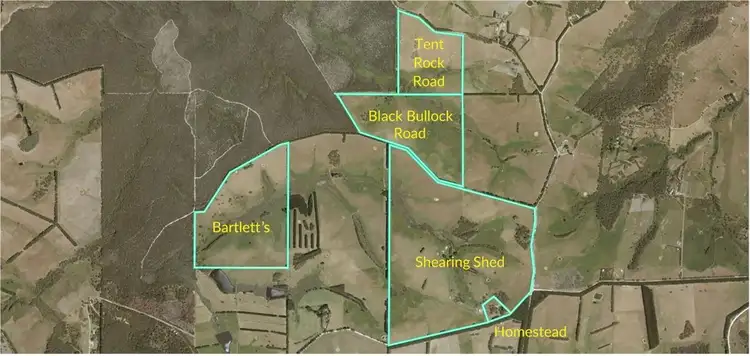 Third view of Homely rural property listing, 252 Three Bridges Road, Delamere SA 5204