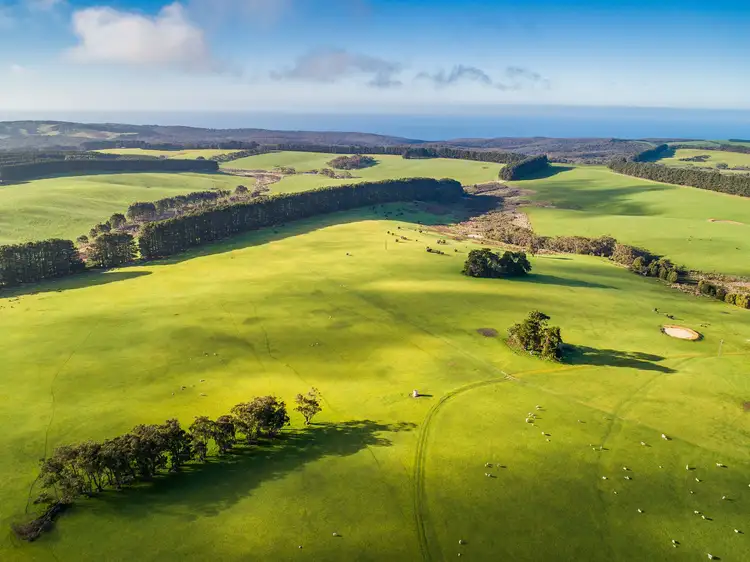 Fourth view of Homely rural property listing, 252 Three Bridges Road, Delamere SA 5204