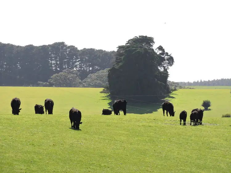 Sixth view of Homely rural property listing, 252 Three Bridges Road, Delamere SA 5204