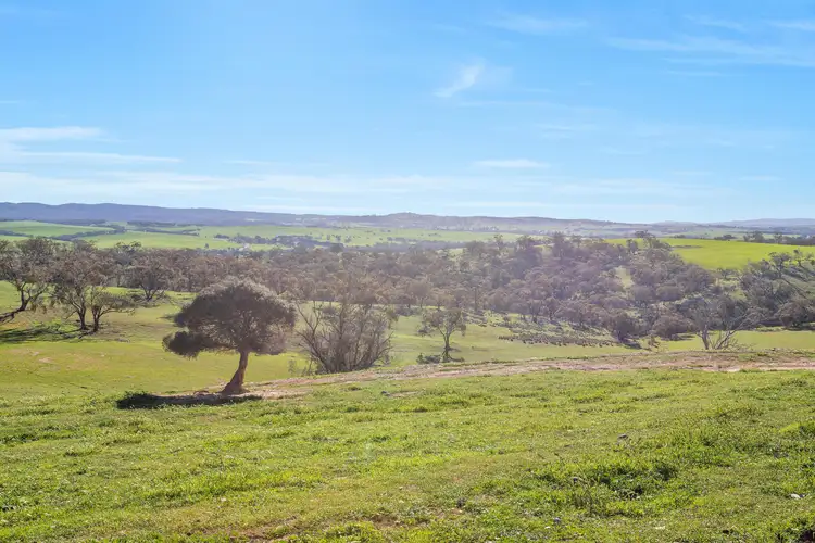 Seventh view of Homely rural property listing, 'Stone Hut' - Lot 320 Halls Road, Wirrabara SA 5481