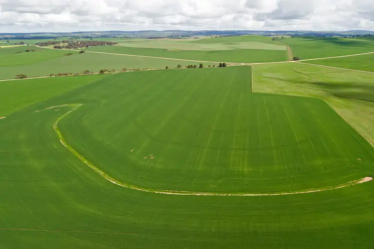 Main view of Homely rural property listing, 'Bagot Well Block' - Lot 102 School House Road, Bagot Well SA 5373