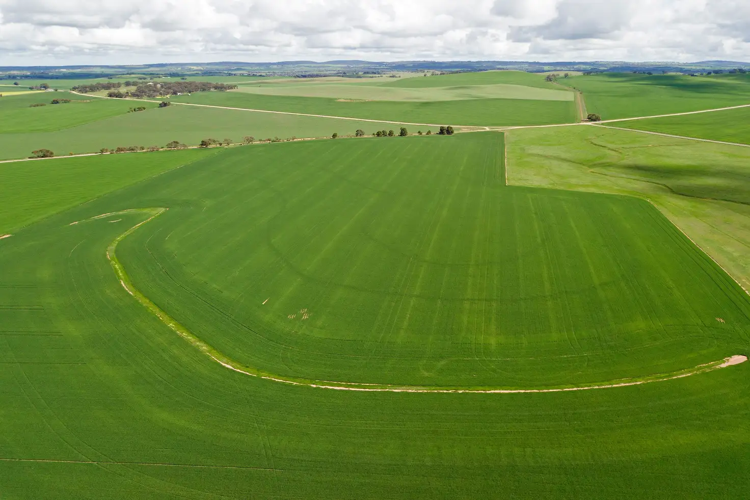 Main view of Homely rural property listing, 'Bagot Well Block' - Lot 102 School House Road, Bagot Well SA 5373