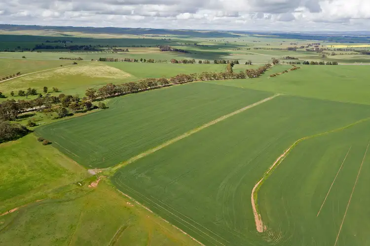 Second view of Homely rural property listing, 'Bagot Well Block' - Lot 102 School House Road, Bagot Well SA 5373