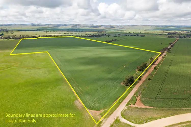 Third view of Homely rural property listing, 'Bagot Well Block' - Lot 102 School House Road, Bagot Well SA 5373