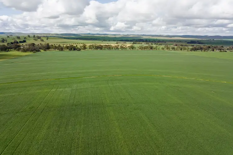 Fourth view of Homely rural property listing, 'Bagot Well Block' - Lot 102 School House Road, Bagot Well SA 5373