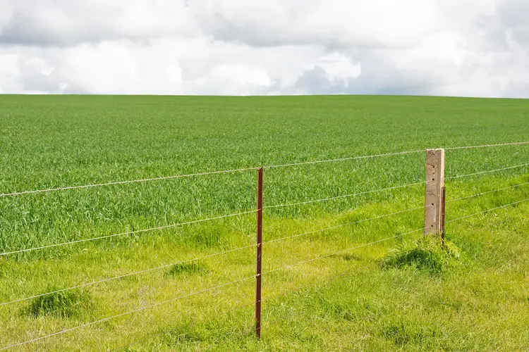 Fifth view of Homely rural property listing, 'Bagot Well Block' - Lot 102 School House Road, Bagot Well SA 5373