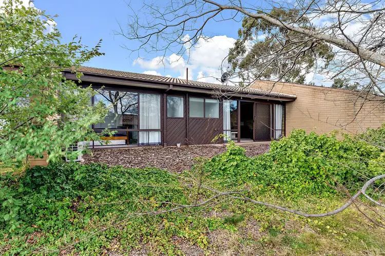 Main view of Homely house listing, 19 Goddard Crescent, Holt ACT 2615