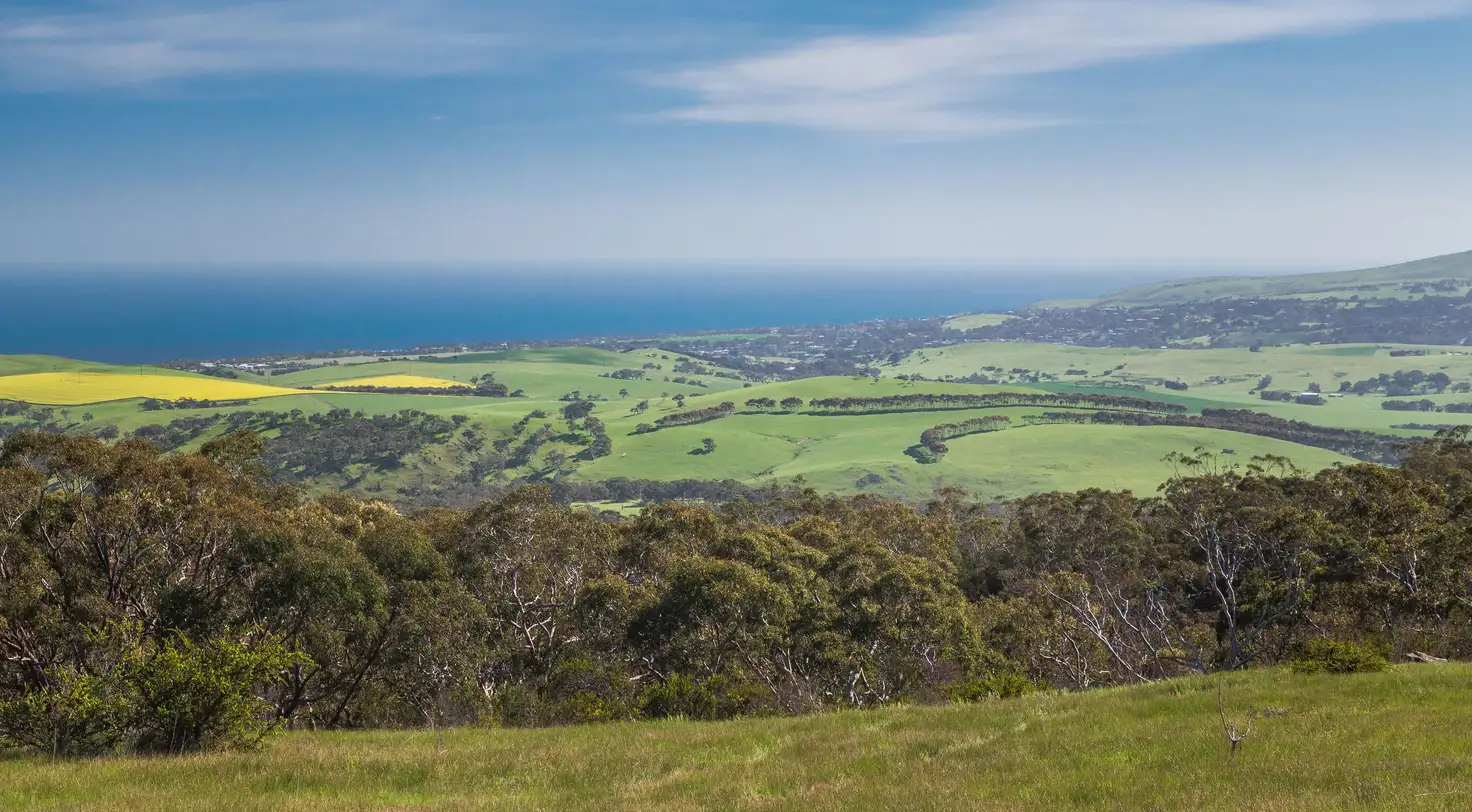 Main view of Homely rural property listing, 66 Attril Track, Hay Flat SA 5204