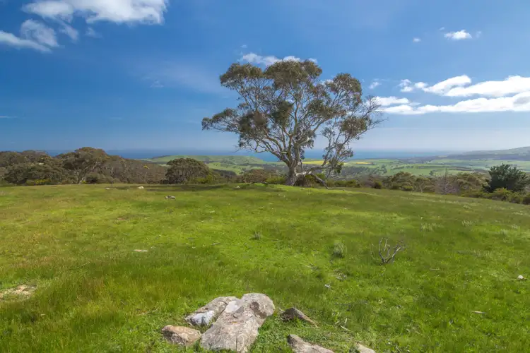 Fourth view of Homely rural property listing, 66 Attril Track, Hay Flat SA 5204