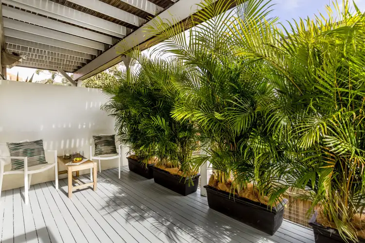 Third view of Homely apartment listing, 1/152 Hall Street, Bondi NSW 2026