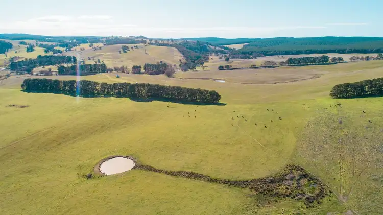 Third view of Homely rural property listing, 4185 Abercrombie Road, Oberon NSW 2787