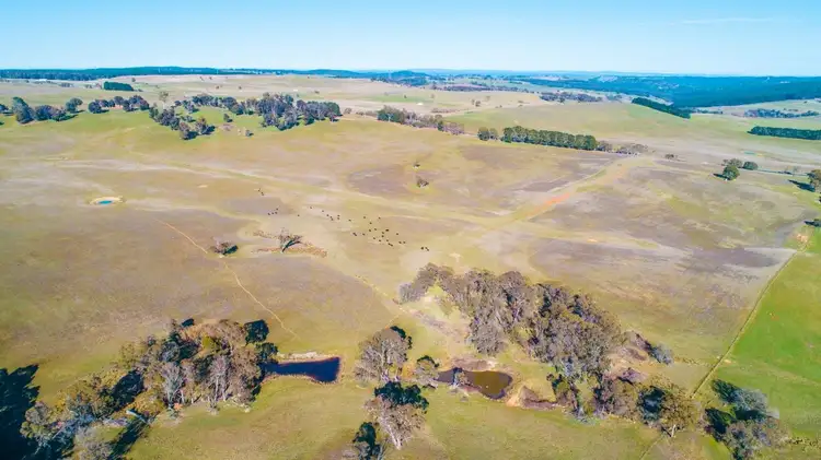 Sixth view of Homely rural property listing, 4185 Abercrombie Road, Oberon NSW 2787