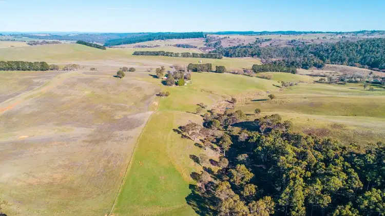 Seventh view of Homely rural property listing, 4185 Abercrombie Road, Oberon NSW 2787