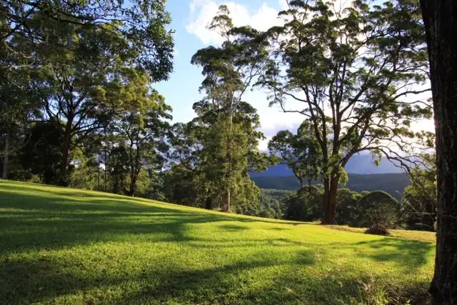 Lot 10, 2981 Mebbin Springs, Kyogle Road, Kunghur NSW 2484